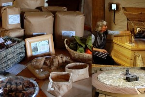 Felin Ganol composite